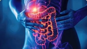 A digital medical illustration showing the human digestive tract including the esophagus, stomach, intestines, and other organs.
